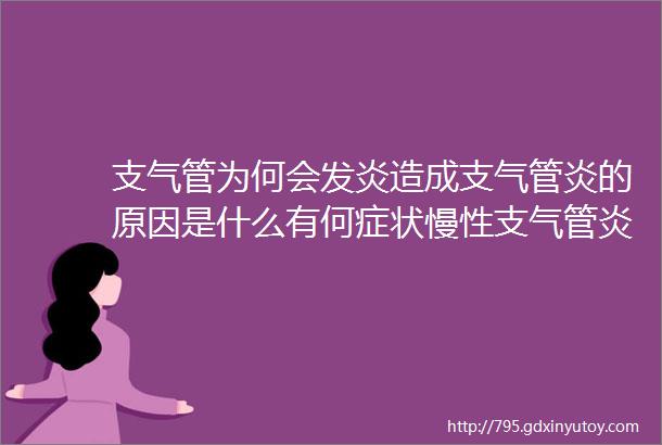 支气管为何会发炎造成支气管炎的原因是什么有何症状慢性支气管炎如何治疗